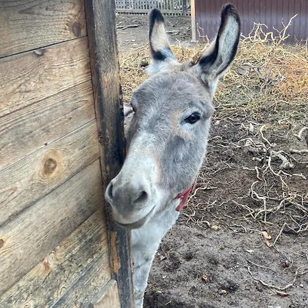 Privat Milan Hrabušice