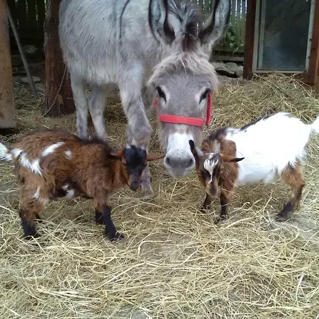 Privat Milan Affittacamere 3*