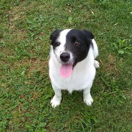 Privat Milan Affittacamere